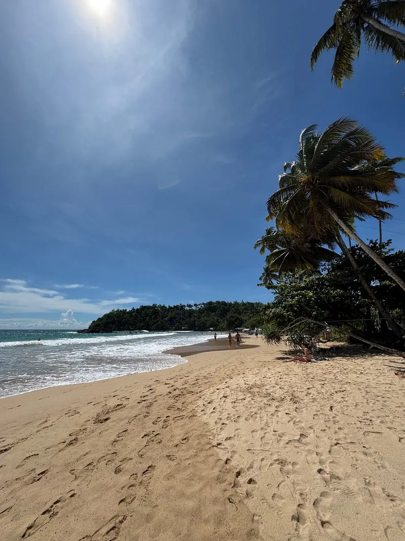 Les plages de la côte sud